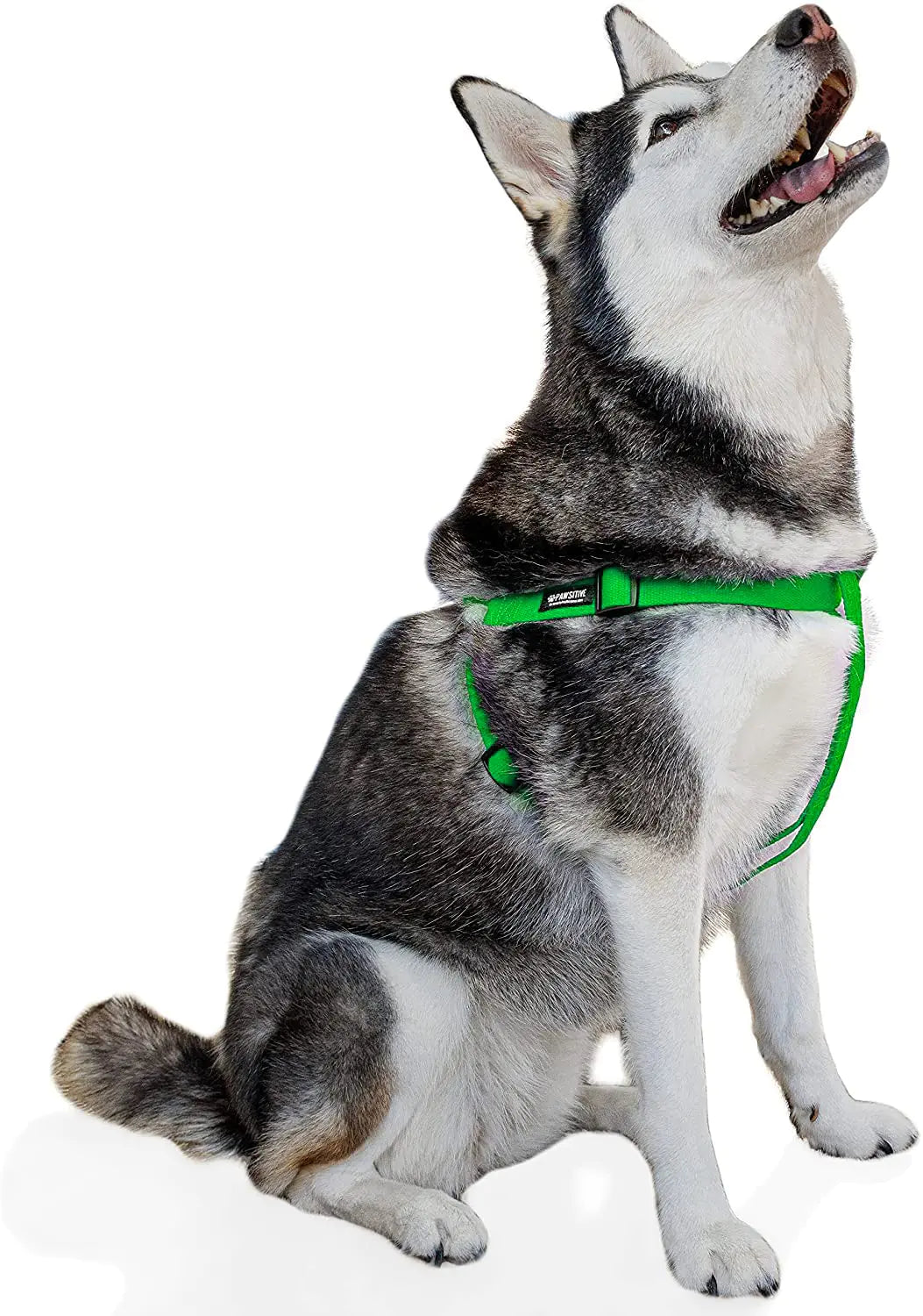 Pawsitive Hemp Dog Harness - Step-in Style. Soft and Hypoallergenic. Great for Small Medium and Large Dogs; Large Green