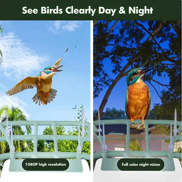 Solar-Powered Waterproof Bird Feeder with Camera Anti Spier