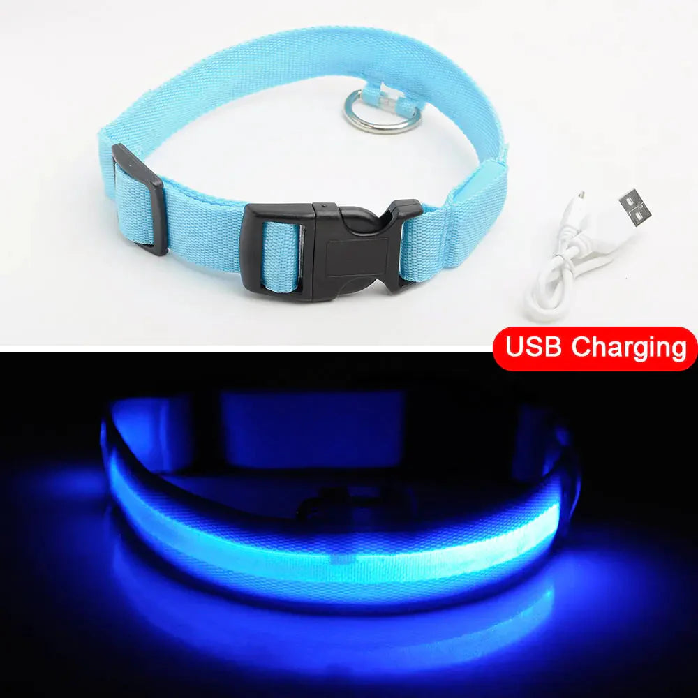 Led Dog Collar Anti-Lost Collar Anti Spier