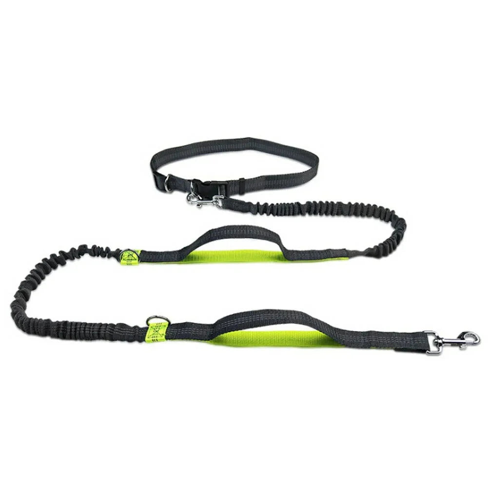 Reflective Rope Pet Leashes Anti Spier