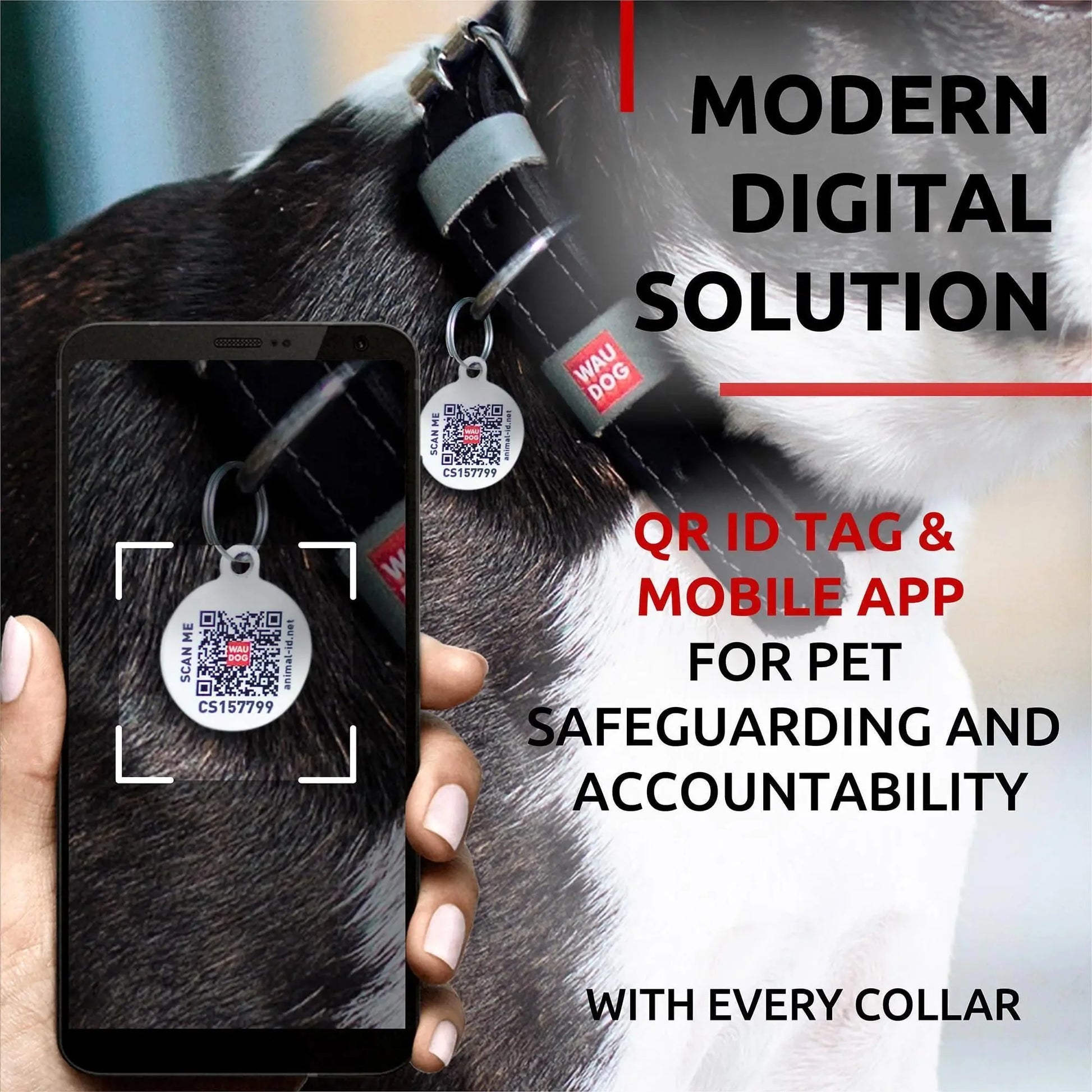 Long Lasting Leather Dog Collar for Large Dogs Medium Small Dogs 11  14 inch Anti Spier