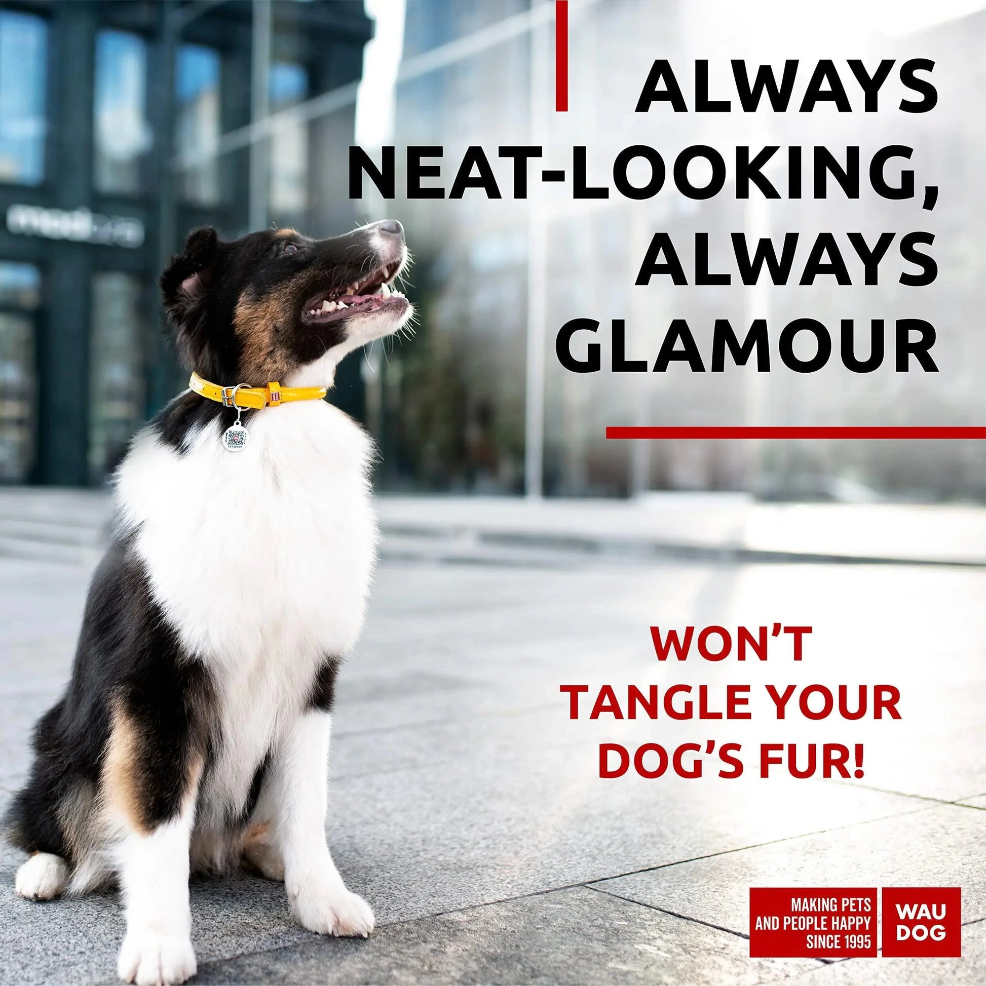 Ultra Soft Rolled Leather Dog Collar 2124 inch Neck Yellow Padded Dog Collars Anti Spier