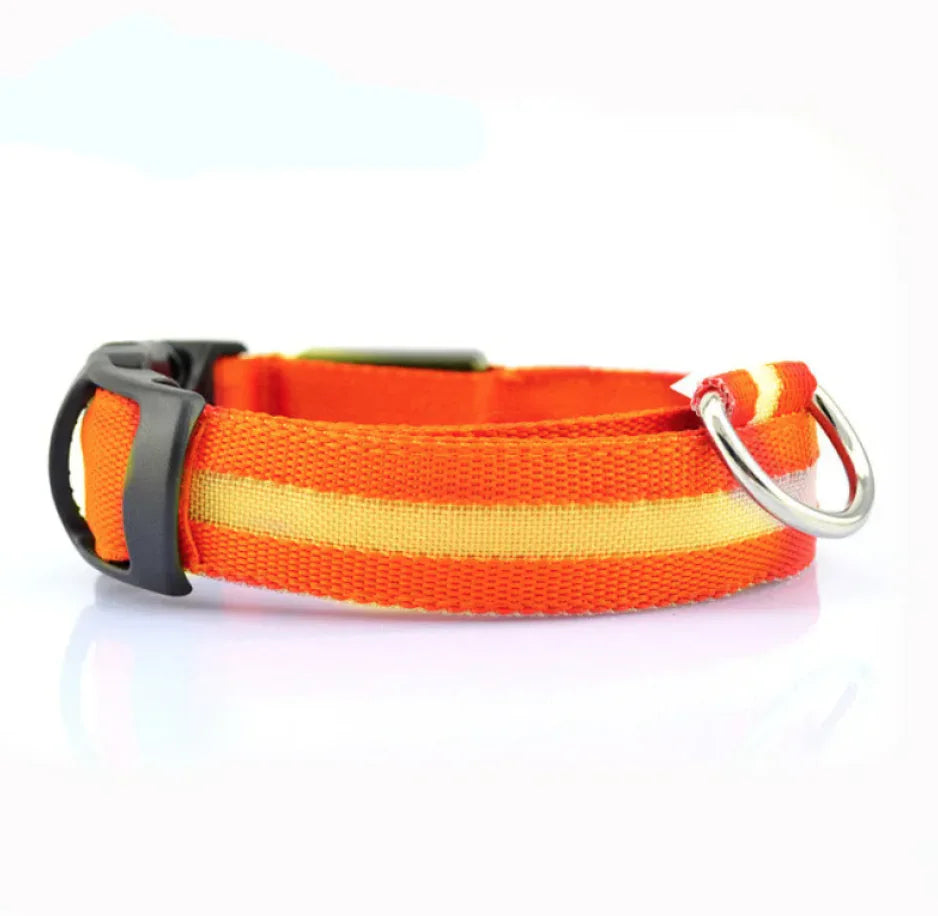 LED Safety Dog Collar