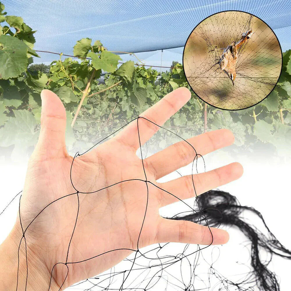 33FT Anti Bird Netting Pond Net Protection Tree Crops Plants Fruits Garden Mesh Anti Spier