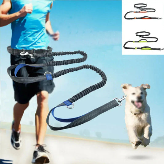 Reflective Rope Pet Leashes Anti Spier