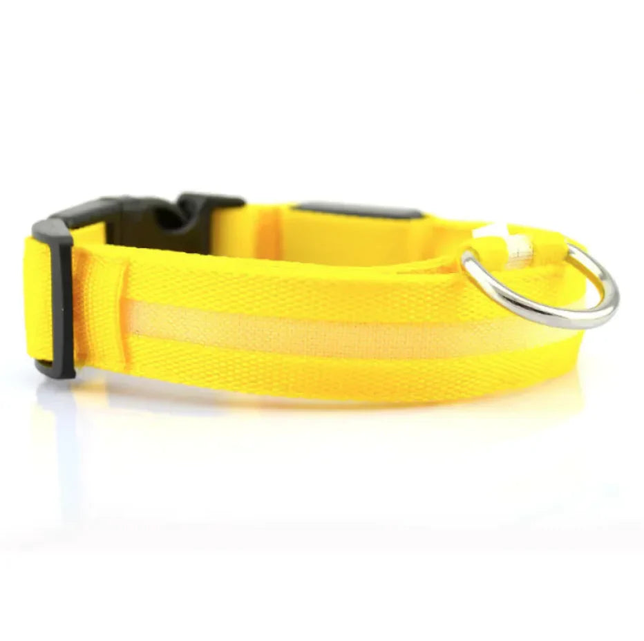 LED Safety Dog Collar
