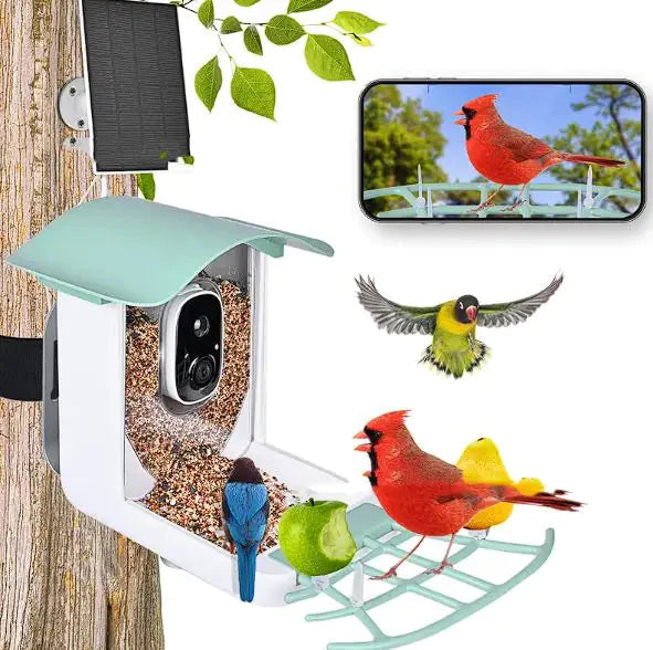 Solar-Powered Waterproof Bird Feeder with Camera Anti Spier