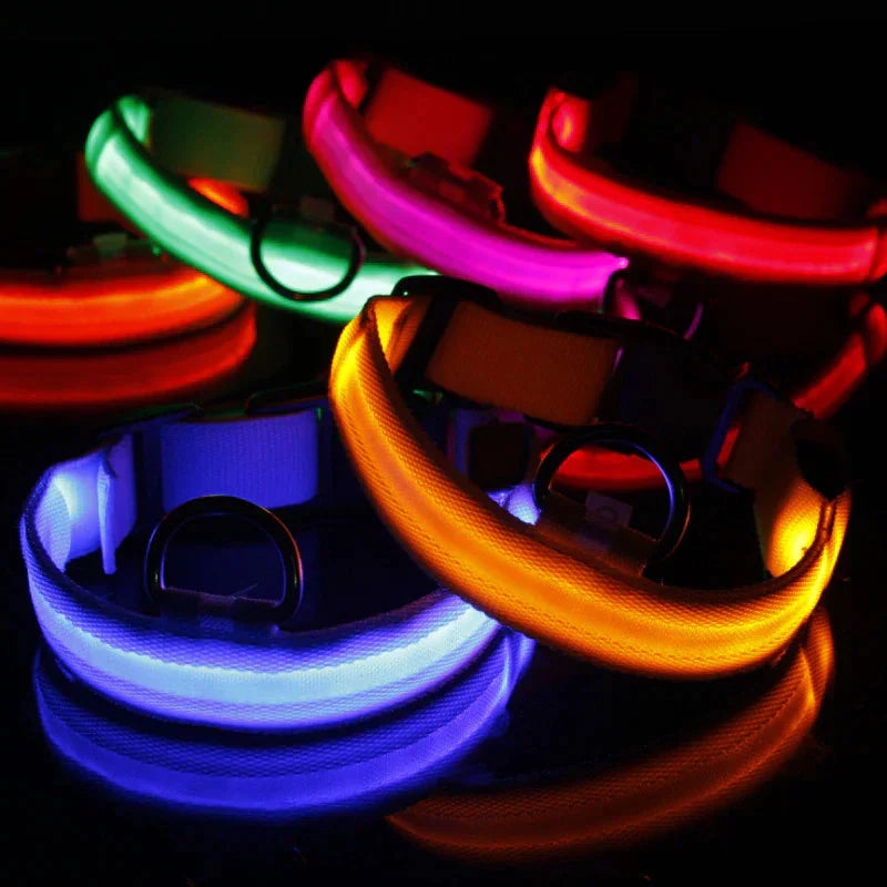 LED Adjustable Dog Collar Blinking Flashing Light Up Glow Pets Safety Waterproof Anti Spier