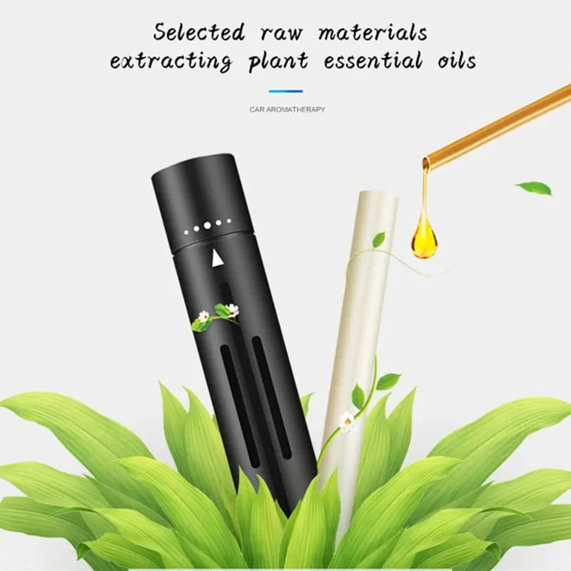 Custom Car Air Freshener for Auto Interior Anti Spier