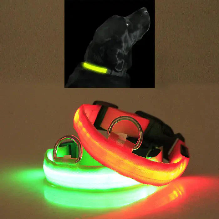 LED PET Safety Halo Style Collar Anti Spier