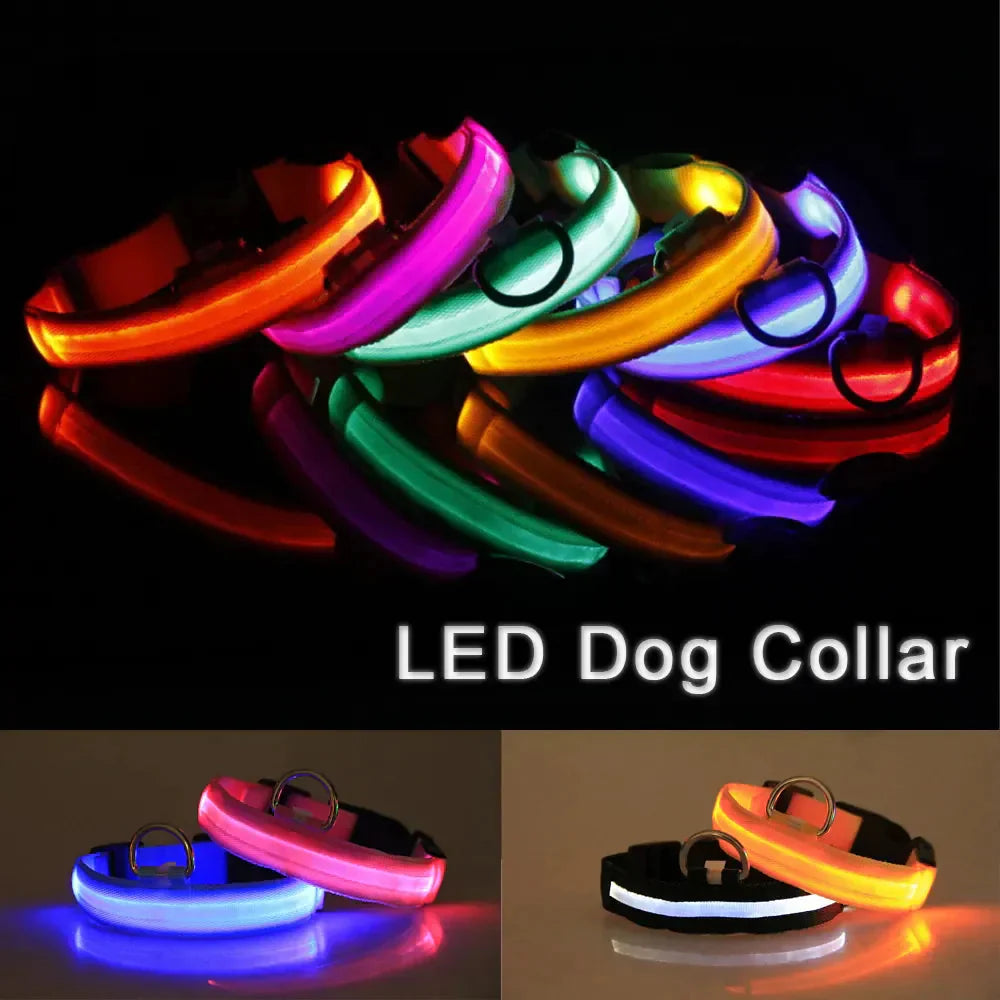 LED Adjustable Dog Collar Blinking Flashing Light Up Glow Pets Safety Waterproof Anti Spier