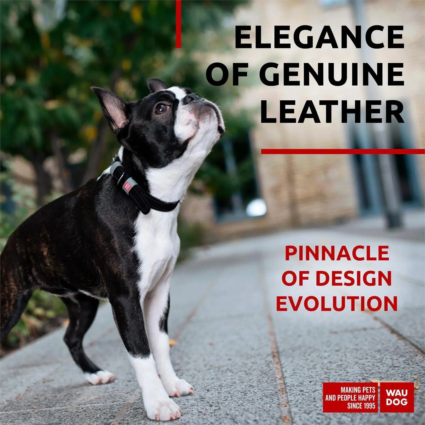 Long Lasting Leather Dog Collar for Large Dogs Medium Small Dogs 11  14 inch Anti Spier