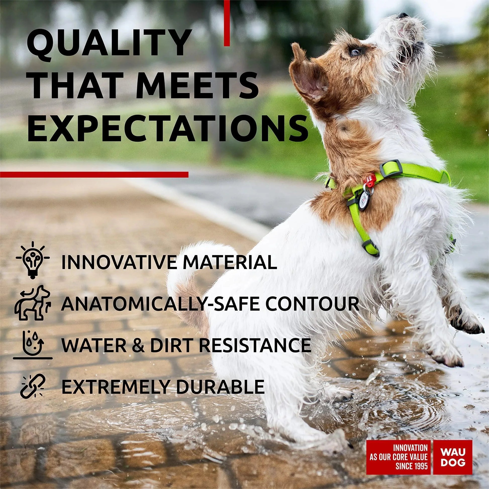 Green Waterproof Dog Harness Adjustable for Small Dogs S Size 1622 inch Anti Spier