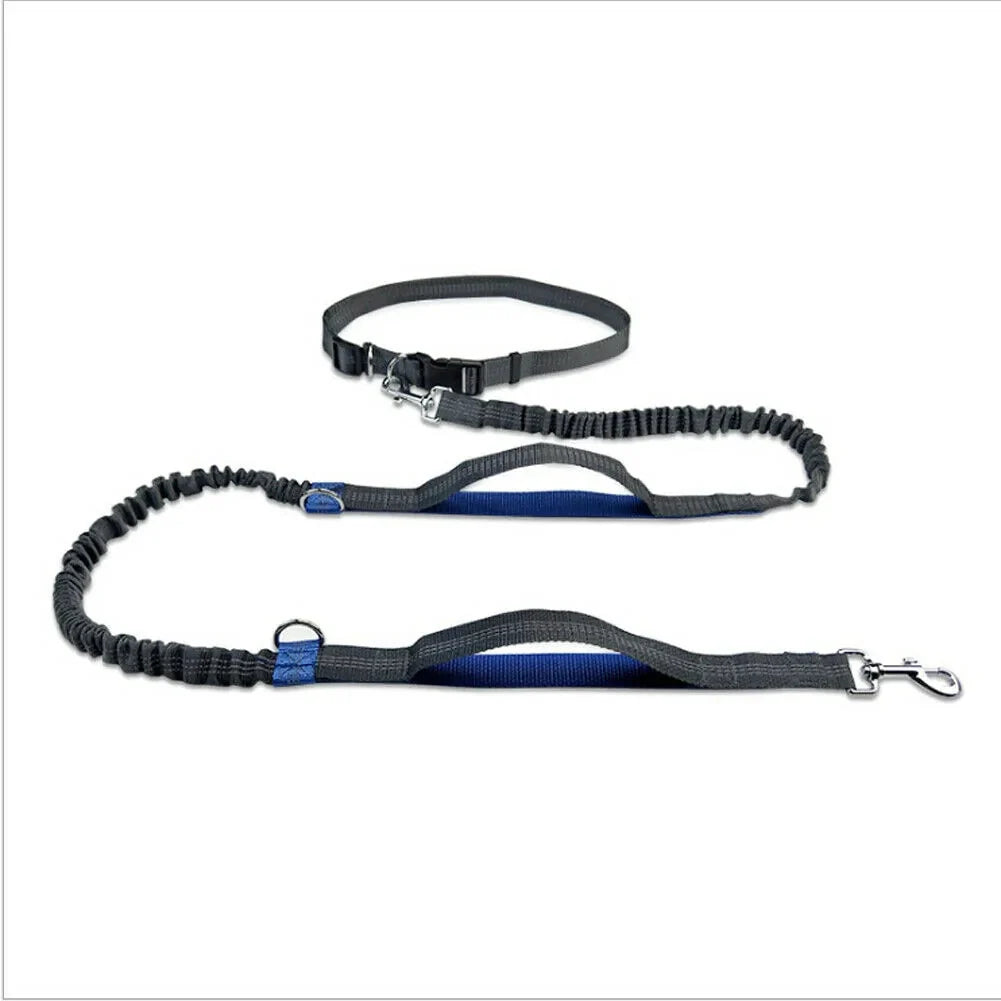 Reflective Rope Pet Leashes Anti Spier