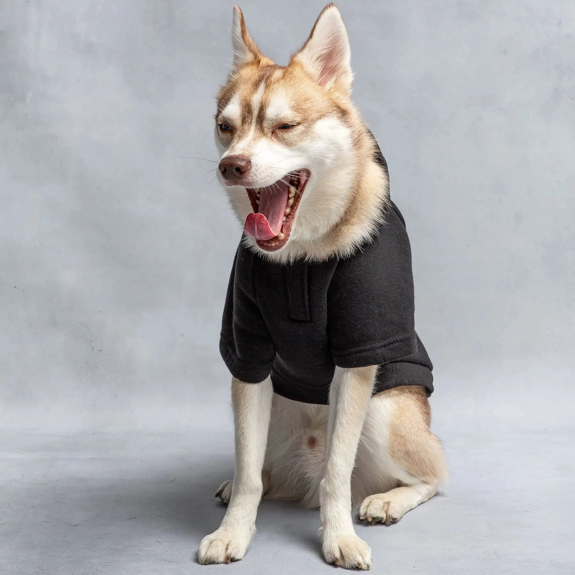 Hooded Dog Fleece Anti Spier