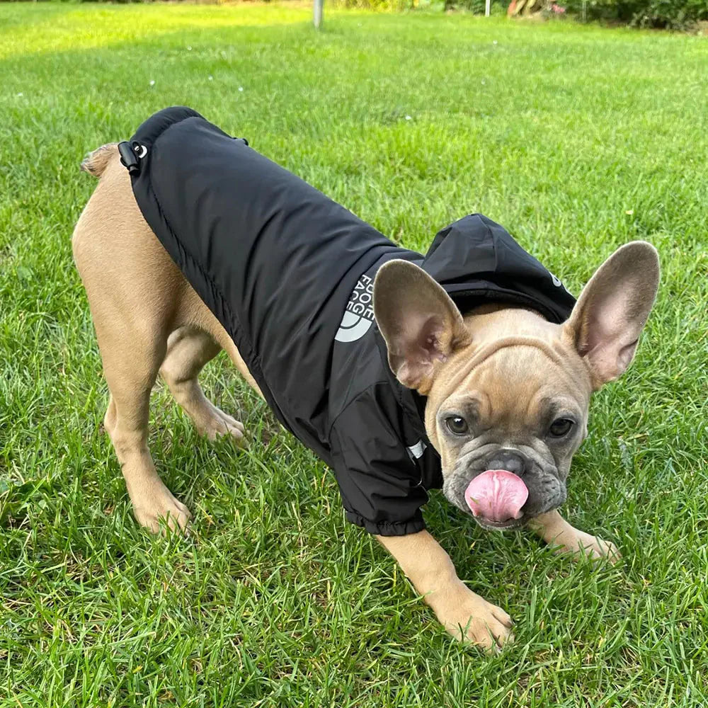 Reflective Pet Hooded Jacket Anti Spier