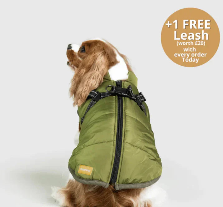 Home Leg Clamps Exercise Tool Anti Spier