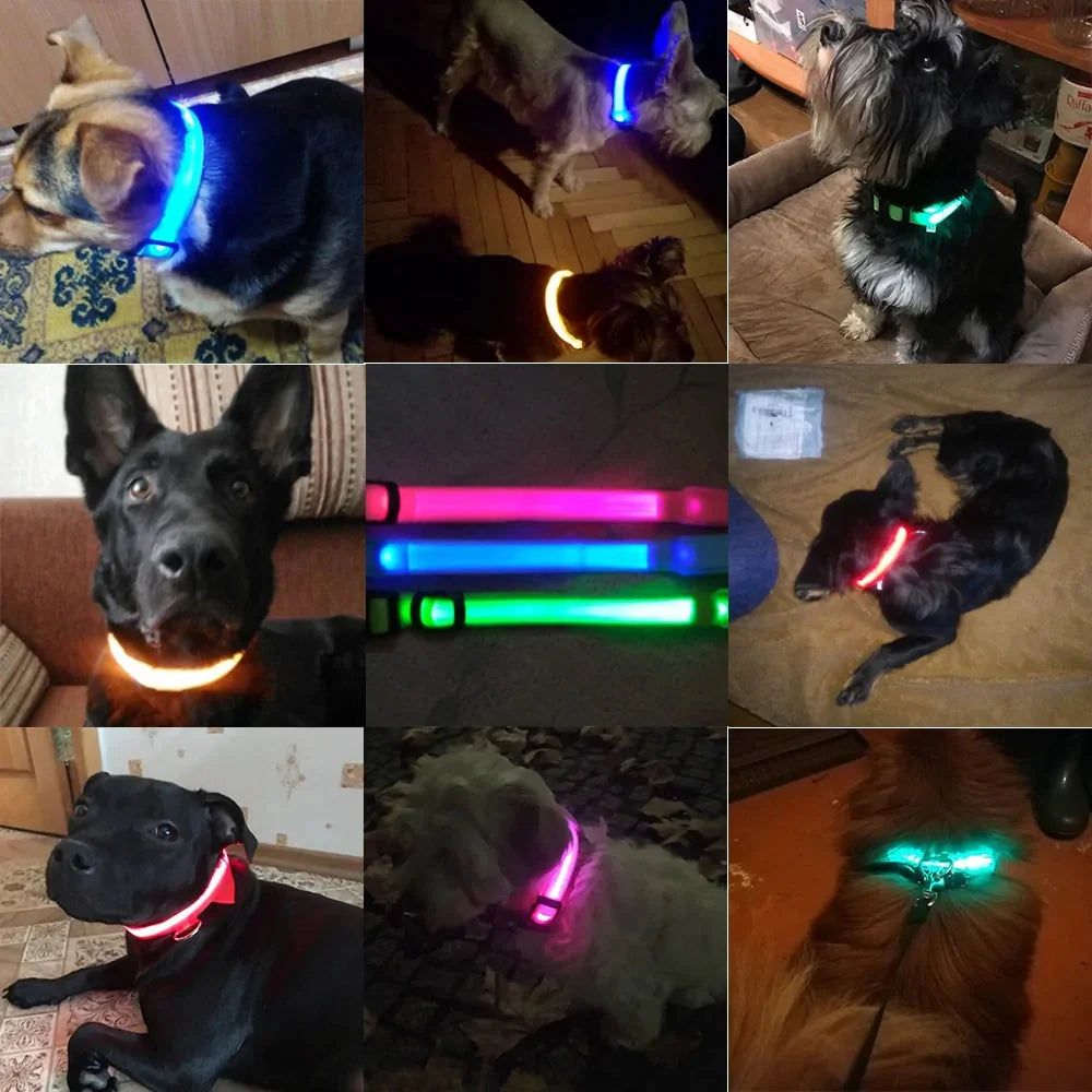 Led Dog Collar Anti-Lost Collar Anti Spier