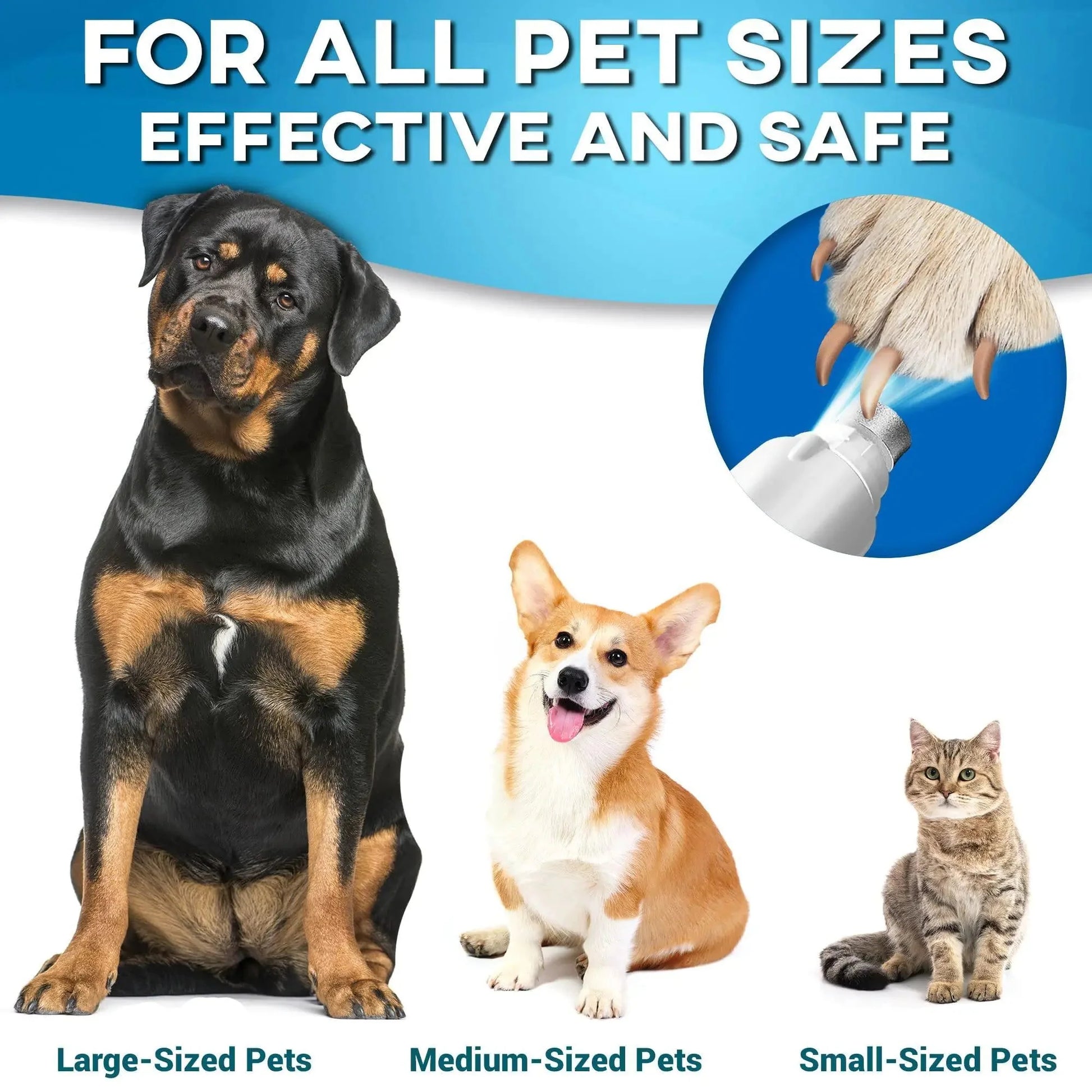 Primens Professional Dog Nail Grinder Replacement Head Pack of 3 Bits Tip Anti Spier