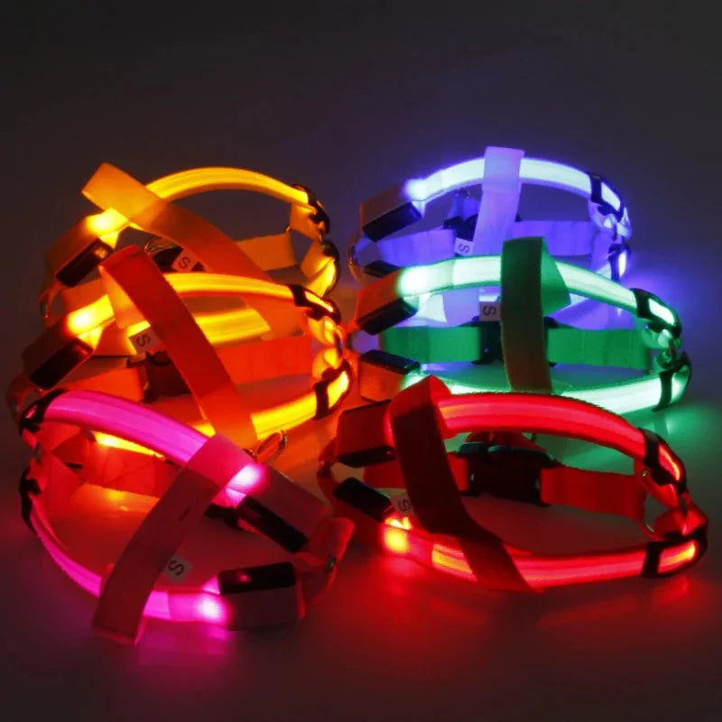 Nylon Pet Safety LED Harness Anti Spier