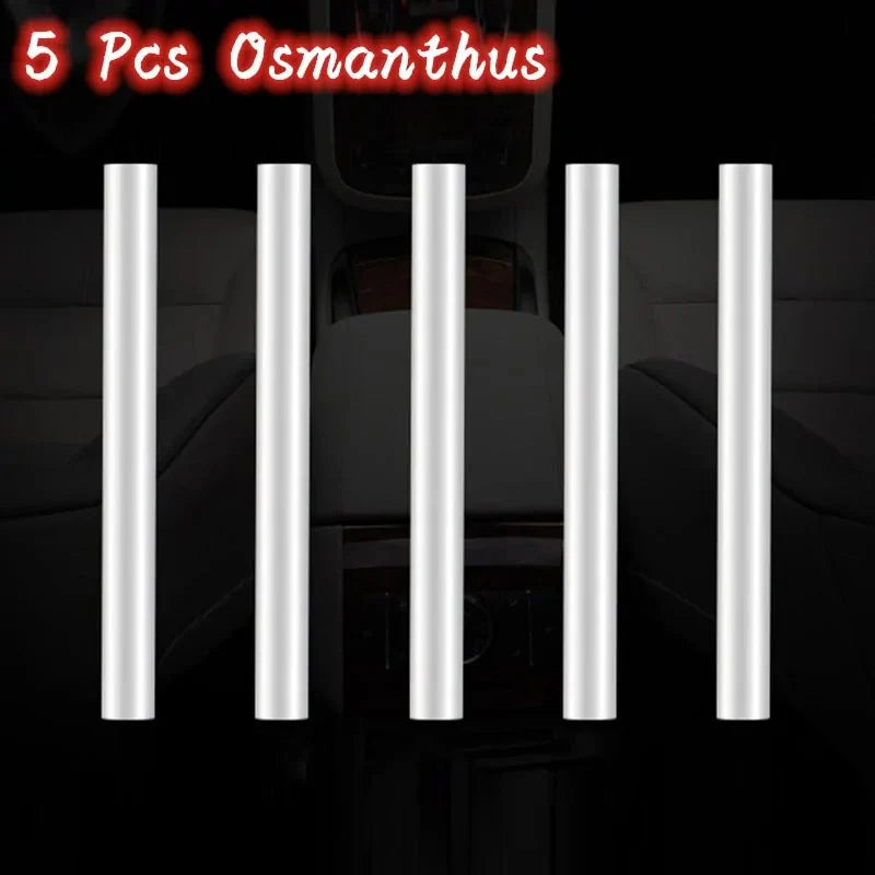 Custom Car Air Freshener for Auto Interior Anti Spier