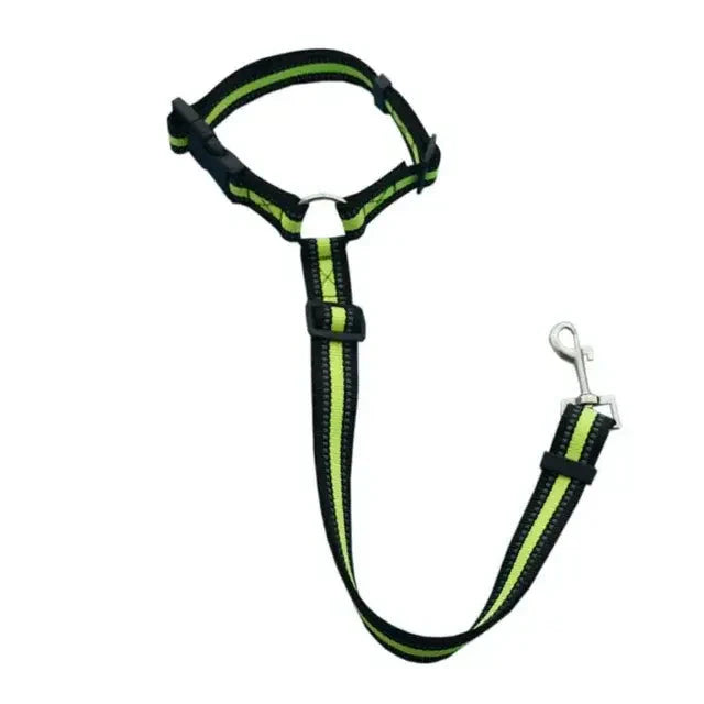Pet Car Seat Belt & Harness Safety And Style Anti Spier