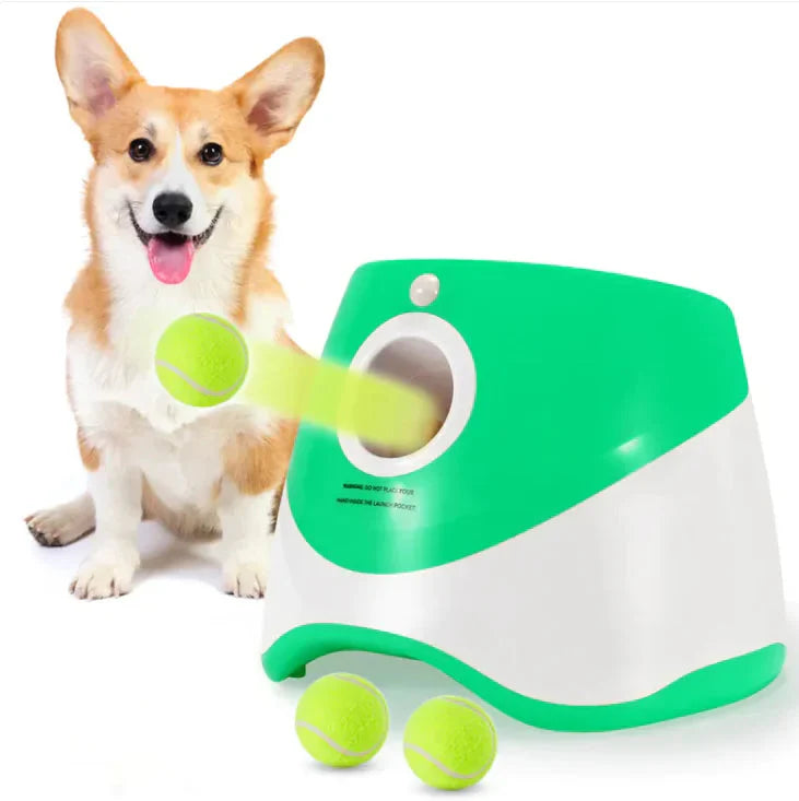 Automatic Dog Ball Thrower Anti Spier