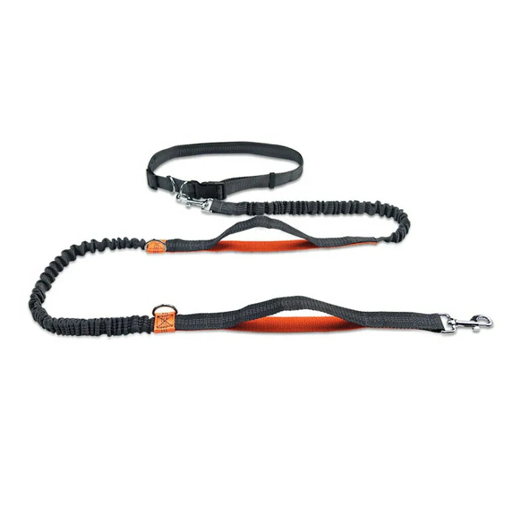 Reflective Rope Pet Leashes Anti Spier