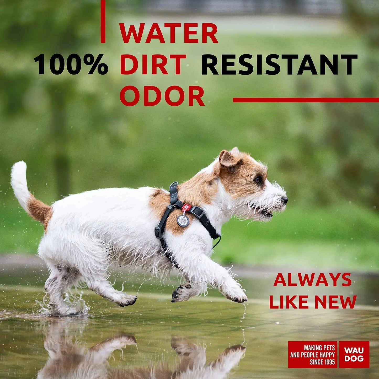 Black Waterproof Dog Harness Adjustable for Small Dogs S Size 1622 inch Anti Spier