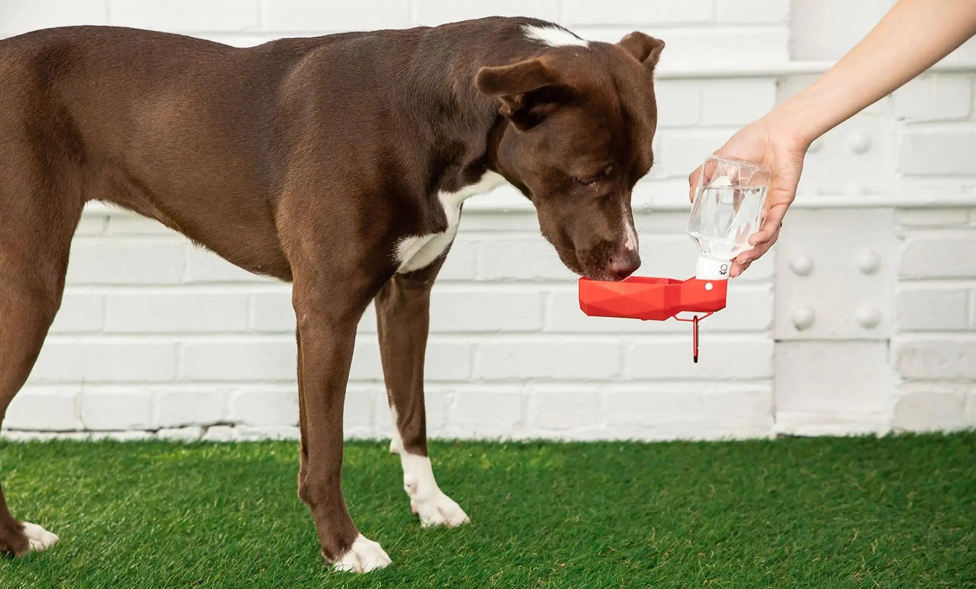 Pet Water Bottle Anti Spier