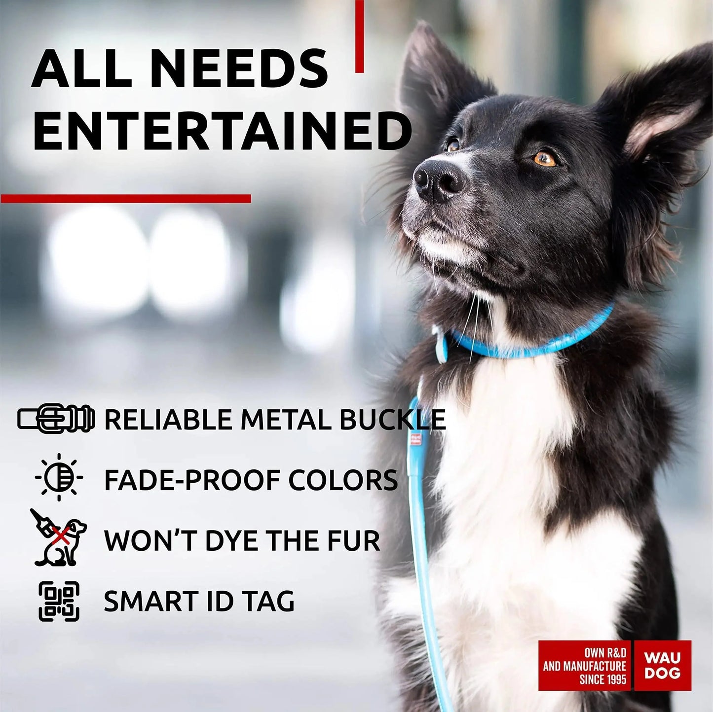 Ultra Soft Rolled Leather Dog Collar for Small Dogs   Soft Padded Dog Collars Anti Spier