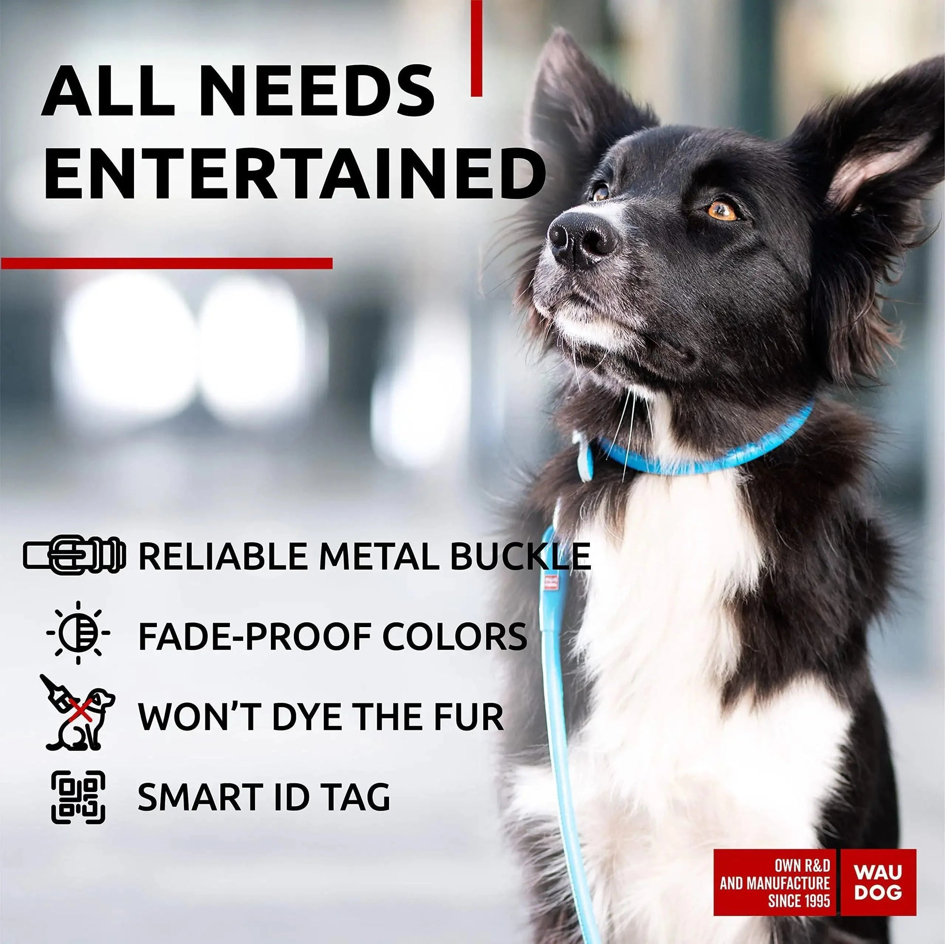 Ultra Soft Rolled Leather Dog Collar for Small Dogs   Soft Padded Dog Collars Anti Spier