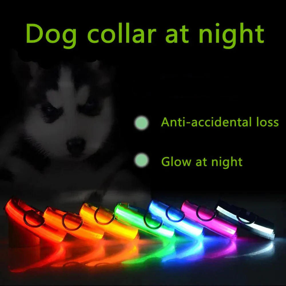 LED Adjustable Dog Collar Blinking Flashing Light Up Glow Pets Safety Waterproof Anti Spier