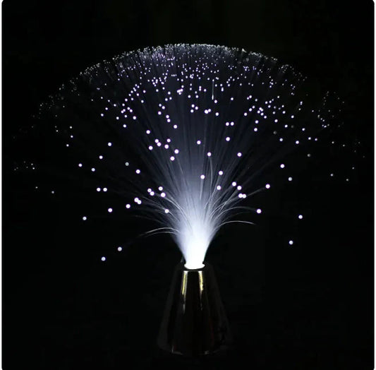 LED Fiber Optic Color Light Anti Spier