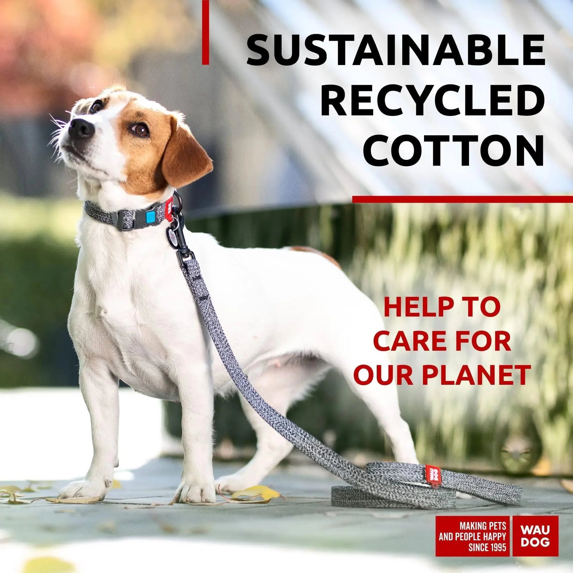 Recycled Cotton Dog Leash 3/5 inch x 6 Ft Eco Friendly for Small Medium Large Anti Spier