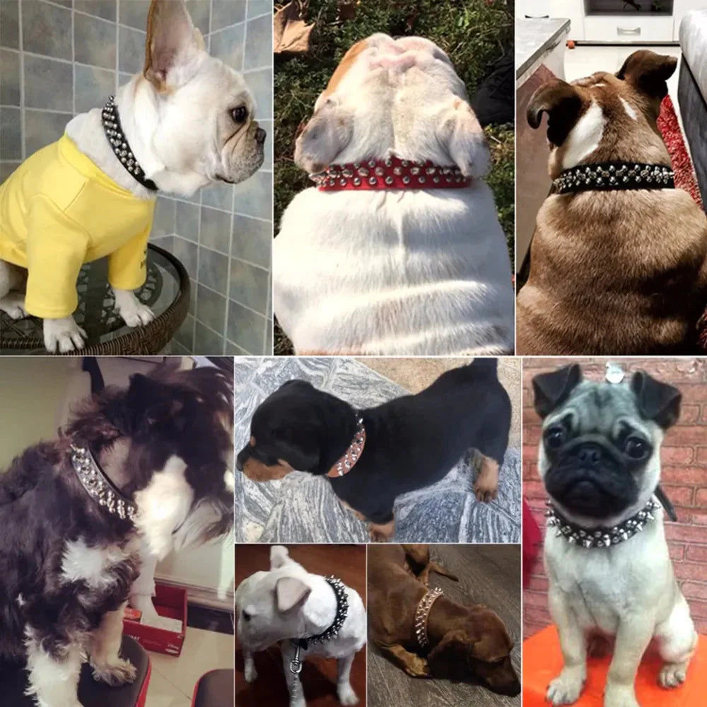 Spiked Studded Leather Dog Collar Rivets Pet Small Large Cat Pit Bull Adjustable Anti Spier