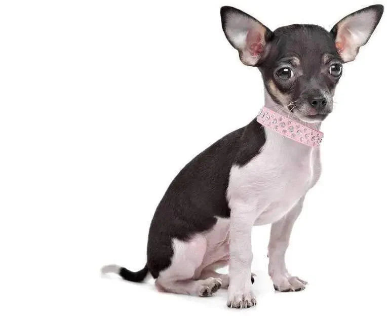 Rhinestone Dog Collar Bling XL Size 21 inch Neck PU Leather Crystal White Collar Anti Spier