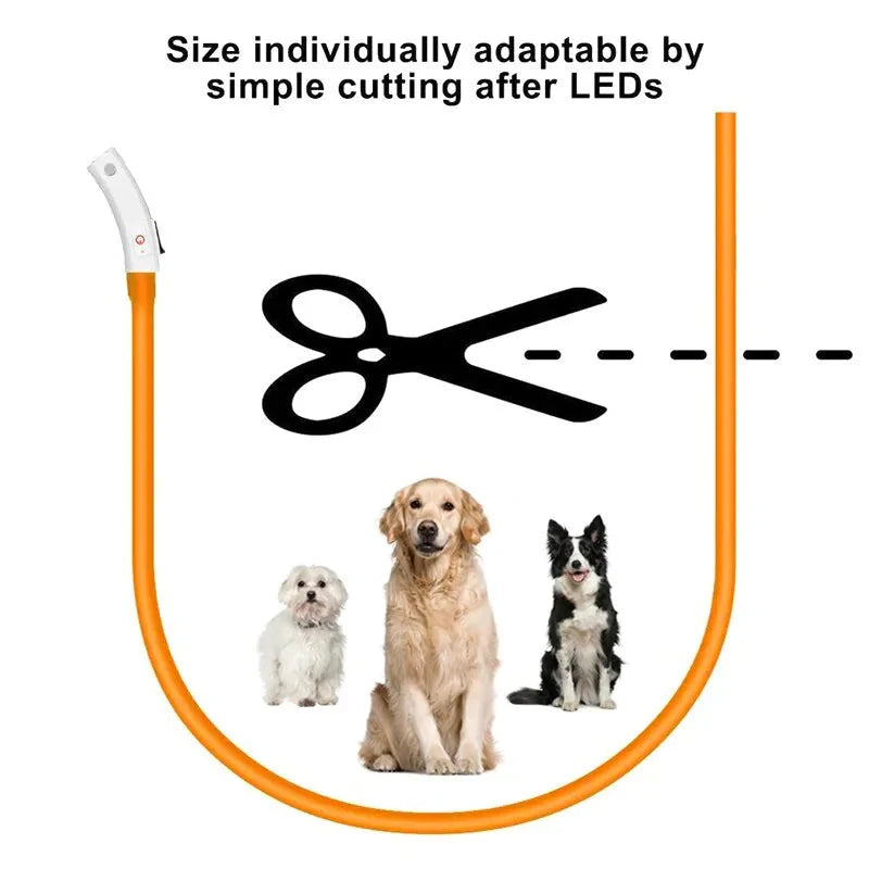 LED Collar Night Safety For Pets Anti Spier