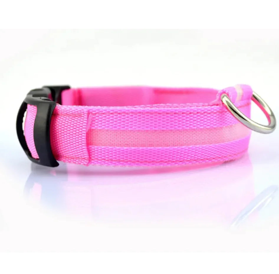 LED Safety Dog Collar