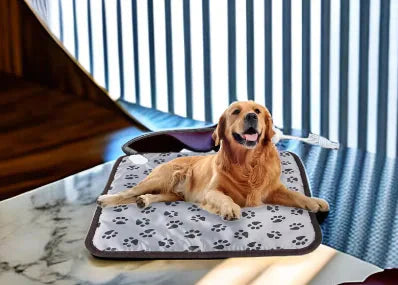 Pet Heated Blanket with Auto-Off & Waterproof Anti Spier