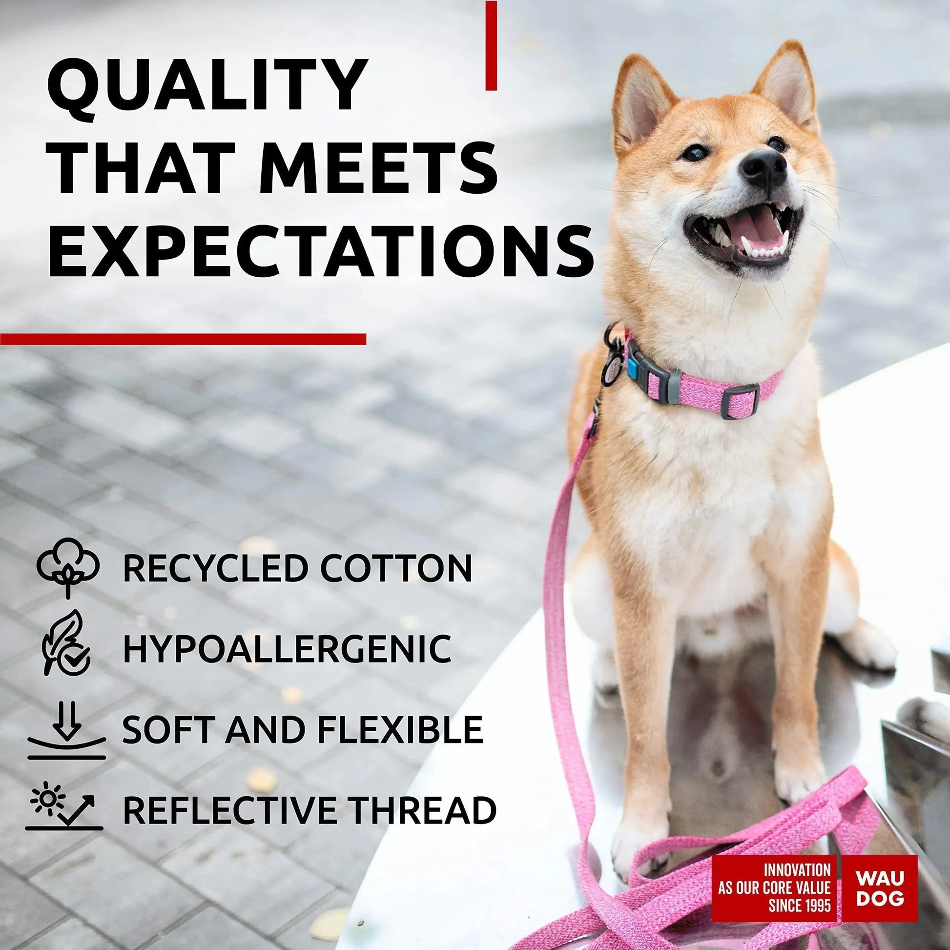 Reflective Cotton Dog Collar Eco Friendly Alt to Nylon Collar 10  16 in Neck x Anti Spier