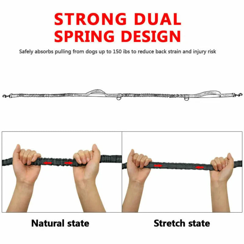 Reflective Rope Pet Leashes Anti Spier