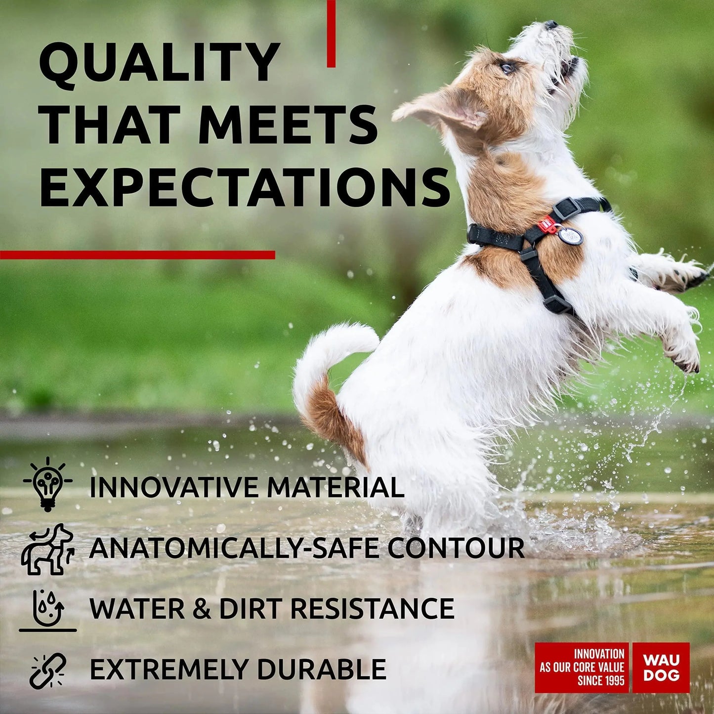 Black Waterproof Dog Harness Adjustable for Small Dogs S Size 1622 inch Anti Spier