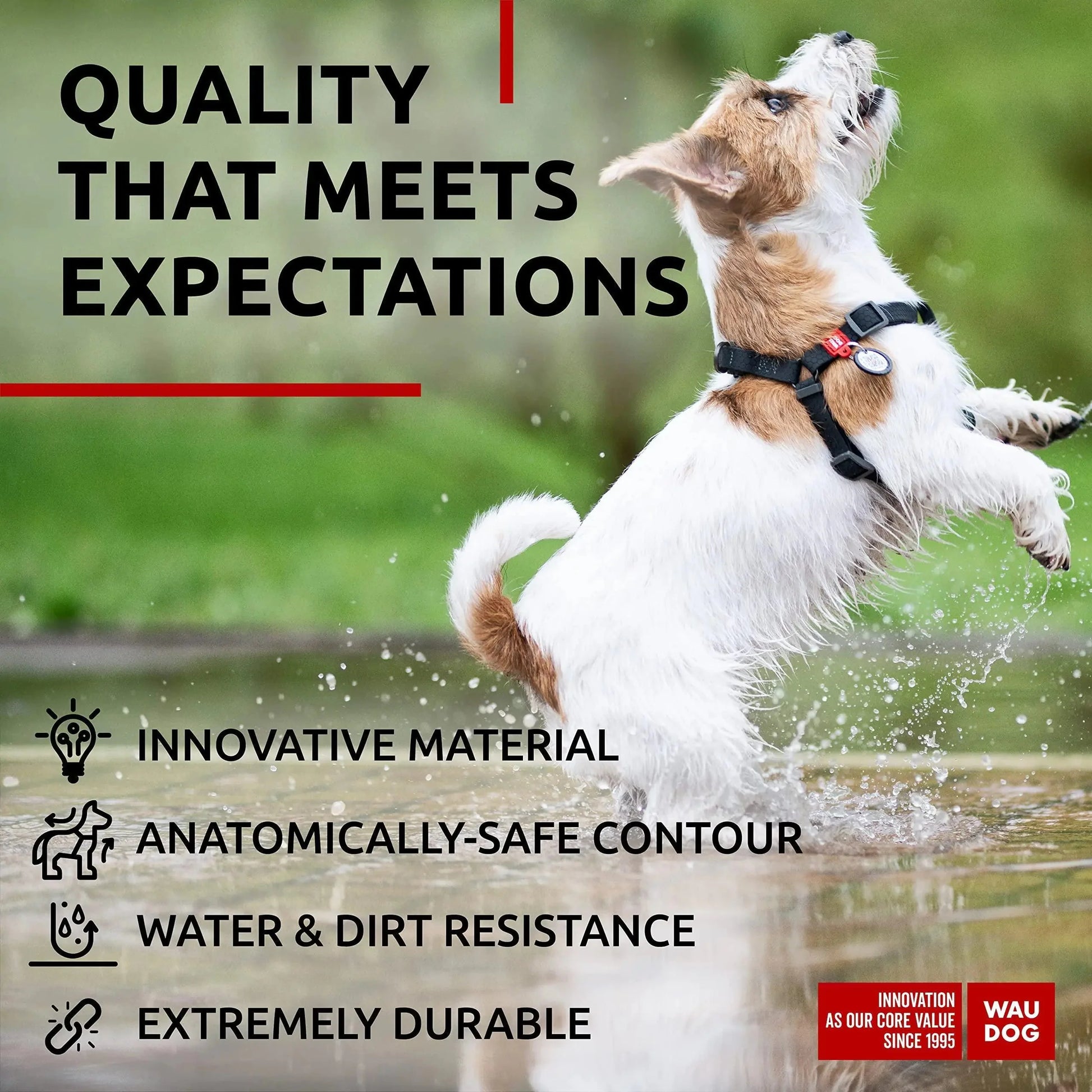 Black Waterproof Dog Harness Adjustable for Small Dogs S Size 1622 inch Anti Spier