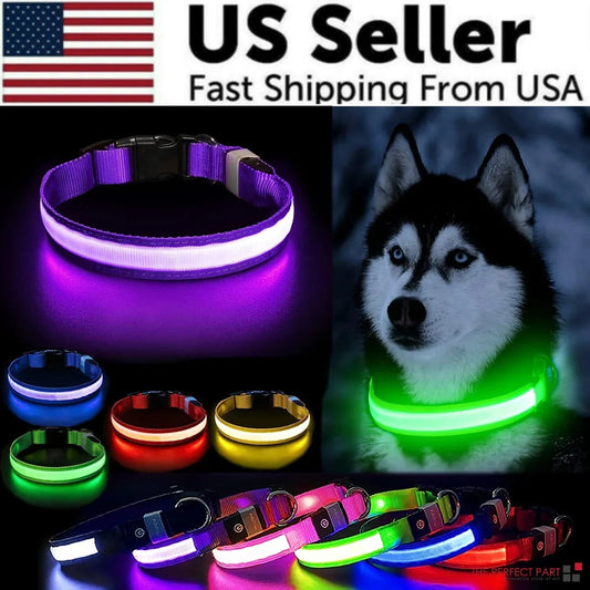 LED Adjustable Dog Collar Blinking Flashing Light Up Glow Pets Safety Waterproof Anti Spier