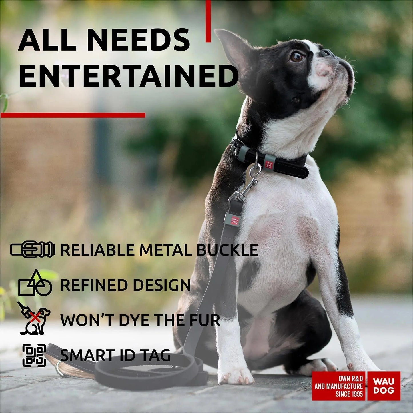 Long Lasting Leather Dog Collar for Large Dogs Medium Small Dogs 11  14 inch Anti Spier