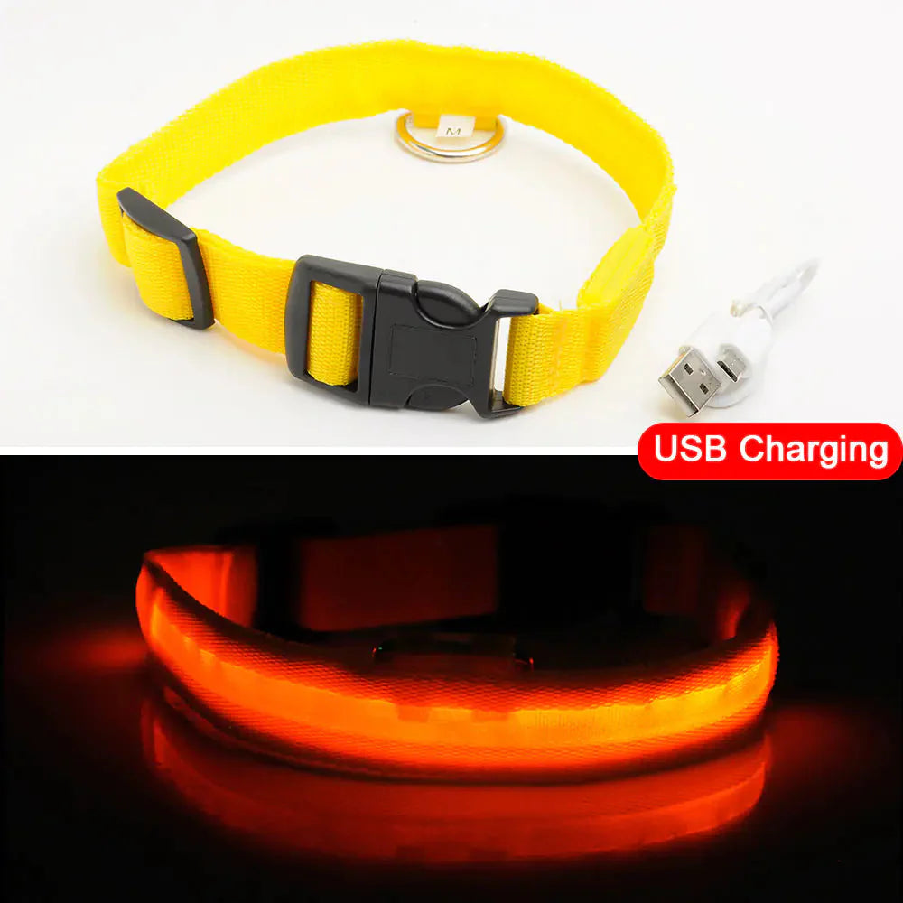 Led Dog Collar Anti-Lost Collar Anti Spier