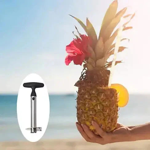 Pretty Prickly Pineapple Peeler The 4P Tool Anti Spier