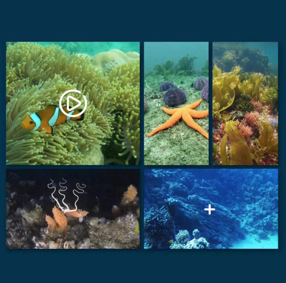 Remote Control Underwater Camera Boat Anti Spier