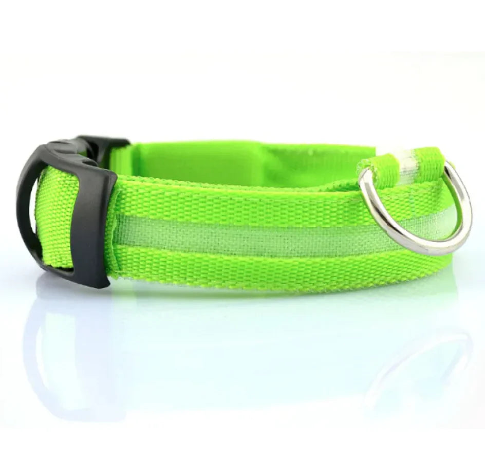 LED Safety Dog Collar